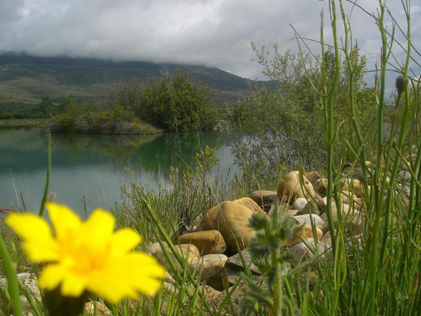 Al Viento, Alojamiento & Turismo Rural Pradena Del Rincon ภายนอก รูปภาพ