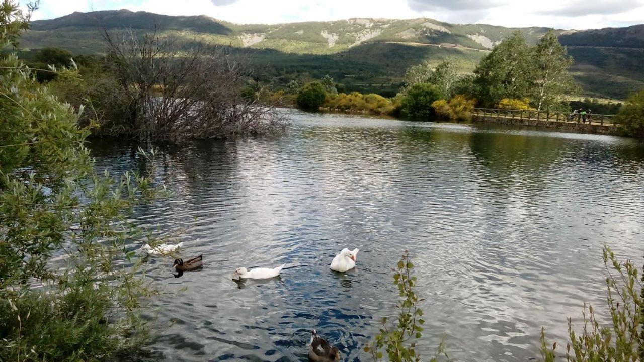 Al Viento, Alojamiento & Turismo Rural Pradena Del Rincon ภายนอก รูปภาพ