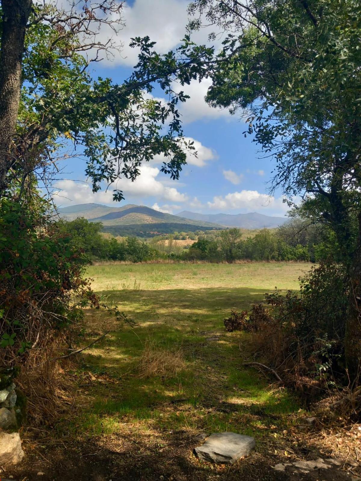 Al Viento, Alojamiento & Turismo Rural Pradena Del Rincon ภายนอก รูปภาพ