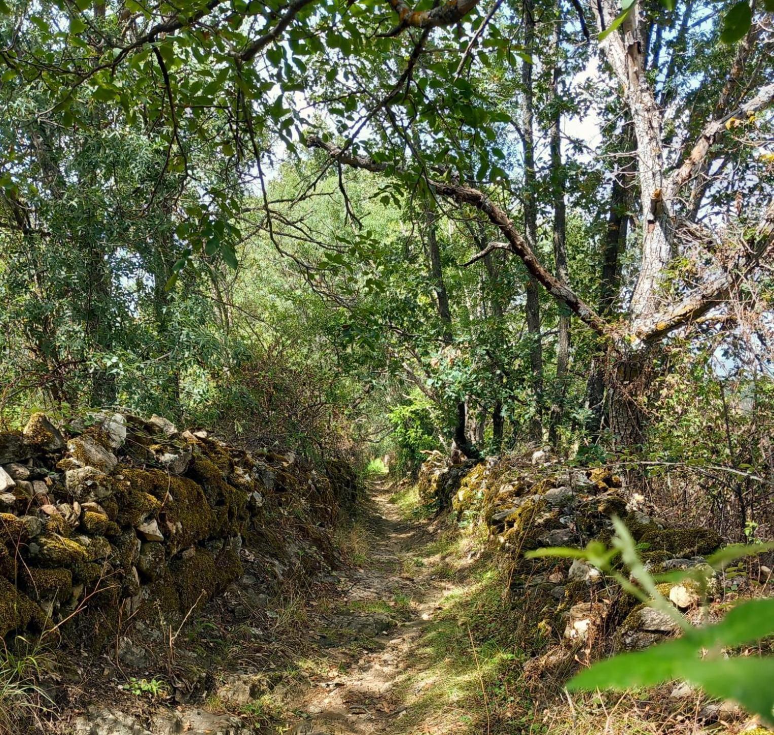 Al Viento, Alojamiento & Turismo Rural Pradena Del Rincon ภายนอก รูปภาพ