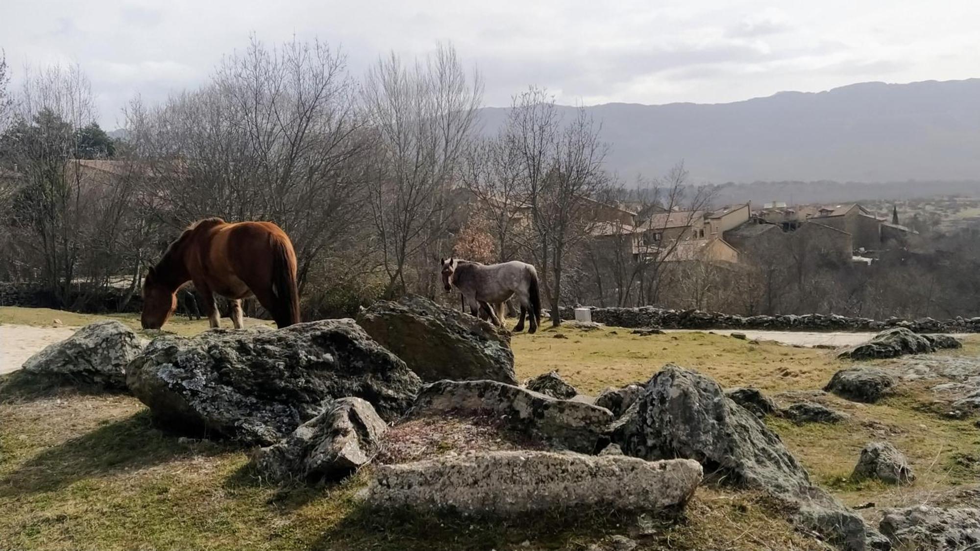 Al Viento, Alojamiento & Turismo Rural Pradena Del Rincon ภายนอก รูปภาพ