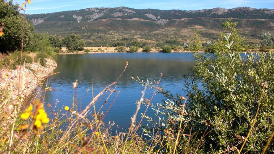Al Viento, Alojamiento & Turismo Rural Pradena Del Rincon ภายนอก รูปภาพ